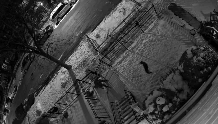 Reolink Camera Two_01_Reolink Home Hub One_20260131204019.jpg